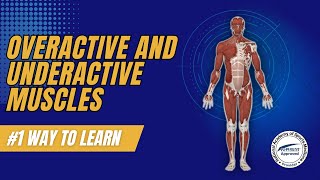#1 Way to Learn ANYTHING || NASM Overactive & Underactive Muscles || NASM-CPT Exam Prep