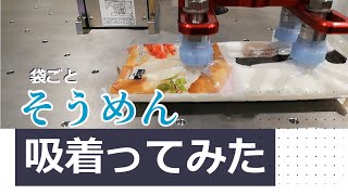 【吸着ってみた】(袋ごと)そうめん【コンバム】