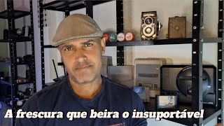 Live Don, inscritos e considerações