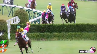 京都4レース障害オープン ロックユー