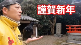 [初詣から絶好調のカラスのリキ！]正月から浮かれてます〜♪