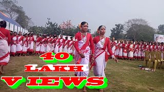 Kancha Sona  Jhumoir Dance Exhibition New HD Jhumoir  Assam Deser Chai k bagane  DIBRUGARH ASSAM