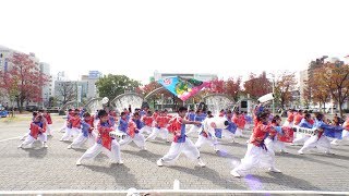 よさこい塾・ありがた屋 @ 四日市よさこい祭り (市民公園会場) 2019-11-24T10:55