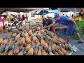 FARTURA E PREÇO BOM É NAS FEIRAS DO NORDESTE. POVO FELIZ, LUGAR BOM PRA SE VIVER!