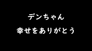 タイピー日記のタイピーさんに届きますように。デンちゃん今までありがとう