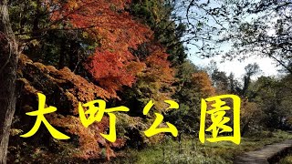 大町公園2019年12月