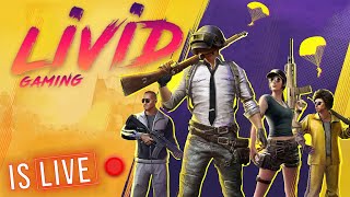 LIVID GAMING Live Stream BGMI 🔥 RP GIVE AWAY