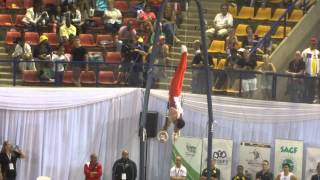 Ali Ramadan EGY - Rings Final - African Champs 2014