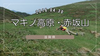 鈍行登山　マキノ高原・赤坂山