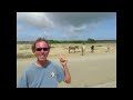 ONLY THE GOAT of Sports Travel can stop 4 Ponys in is tracks: 
