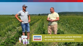 Спеціальні добрива Meristem для суниці садової: досвід використання на Вінниччині