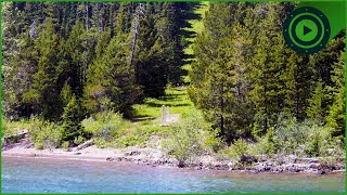 The Forbidden Border: What Really Happens at the 49th Parallel?