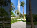 Dubai City Burj Khalifa Emaar People Road Building Tad Tree Source #shorts #viralreels #trending