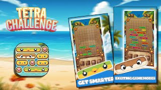 Tetra Challenge || Construct 3 Game Template || Source code