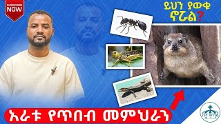 ይህን ያውቁ ኖሯል ?? አራቱ የጥበብ መምህራንን