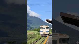 【日本最南端の駅】指宿枕崎線西大山駅　#shorts #train #jr九州 #指宿枕崎線