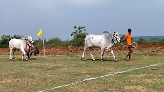 2 పళ్ళ లో 3 వజత నయనాలప్ప 2021