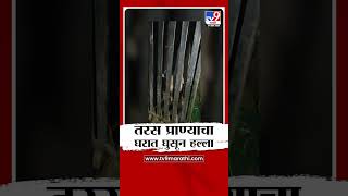 Ambegaon  तालुक्यात तरस या प्राण्याचा घरात घुसन हल्ला,तीन जण जखमी