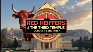 Red Heifers \u0026 the Third Temple: Signs of the End Times?