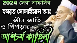 হযরত সোলাইমান আঃ জীন জাতি  ও পিপড়ার আশ্চর্য কাহিনী  ফরিদ উদ্দিন আল মোবারক |  Farid Uddin al Mobarak