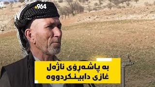 دنیادیدەیەکی گوندی پیرەری قەزای کۆیە، لە رێگه‌ى پاشەڕۆی ئاژەڵ غازی ماڵەکەی دابینکردووە