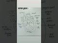 मानव हृदय का चित्र हृदय की संरचना तथा कार्य हृदय का चित्र heart diagram heart work