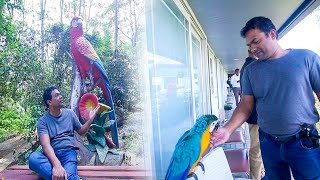 විවේකය ගත කරන්න හන්තානේ කුරුලු උයන / Bird Park Hanthana