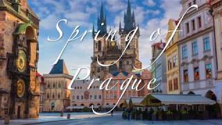 Spring of Prague