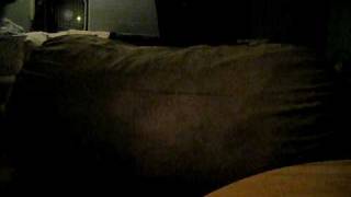 The most comfortable couch ever.AVI