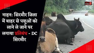 नाहन: सिरमौर जिला में बाहर से पशुओं को लाने ले जाने पर लगाया प्रतिबंध - DC सिरमौर