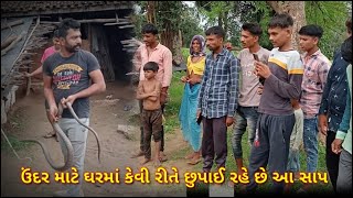 ઉંદર માટે ઘરમાં કેવી રીતે છુપાઈ રહે છે આ સાપ ( Indian Ret snake ) //C B J SARP MITRA // CHETAN PATEL