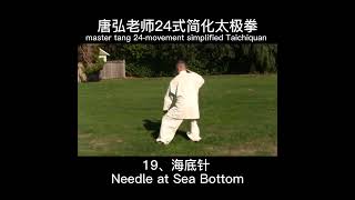 唐弘老师24式简化太极拳第十九式 master tang 24-movement simplified Taichiquan，Action 19