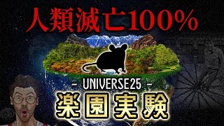 【食料∞、病気・天敵なし】何度やっても滅亡する禁断の楽園実験：UNIVERSE25【人類滅亡か…】都市伝説 雑学