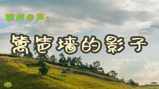 篱笆墙的影子 - 银屏回声。毛阿敏