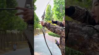 B3 Weight Forward Recurve Bow archery hunting