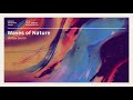 Willow - Waves of Nature