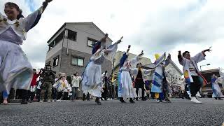 にっぽん酒盛会 【投げ入れタイム】 バサカニ 2024  バサラカーニバル