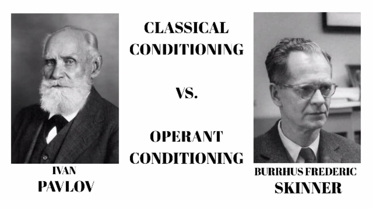 Classical Conditioning Vs. Operant Conditioning -Psychology- - YouTube