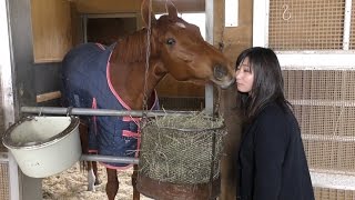 【高松宮記念】競馬界の女神が桜花賞以来のＧⅠ制覇へ挑むレッツゴードンキ・梅田智之調教師を直撃