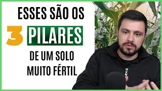 3 pilares FUNDAMENTAIS DA FERTILIDADE de qualquer solo