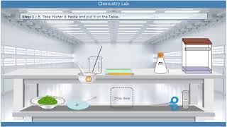 Separation of pigments from extracts of leaves and flowers by paper chromatography and determination