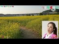 💕사랑이 좋구나 ⭐️장별아 가수 별이 품바 🏜여주 담낭리섬 유채꽃