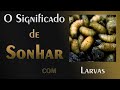 💤 Sonhar com Larvas de Moscas - O que significa?