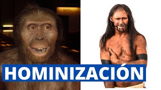 La HOMINIZACIÓN explicada: desde el Australopithecus hasta el Homo sapiens sapiens🐒