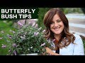 How to Succeed with Butterfly Bushes in Your Garden