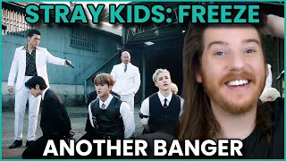 STRAY KIDS: FREEZE (땡) Music Video Reaction!