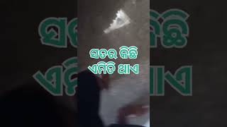 କେବଳ ଝିଅ ମାନଙ୍କ ପାଇଁ ଏହି Video। ଶେଷ ପ୍ରଜ୍ୟନ୍ତ ଦେଖନ୍ତୁ। #viral #short #status #comedy #family#vlogs