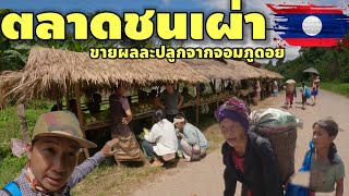 ตะลุยลาวเหนือ EP.41 ตลาดชนเผ่าขายผลละปลูกจากภูดอย [วิถีคนลาว] |vlog