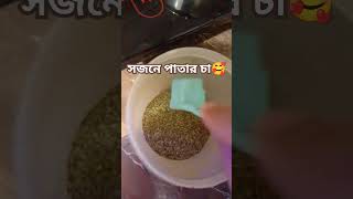 সজনে পাতা চা/Moringa