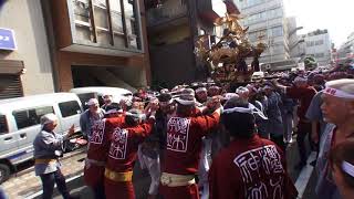 29年 文京区本郷 櫻木神社(櫻木天神）大祭 本社神輿五年振り立派な渡御。